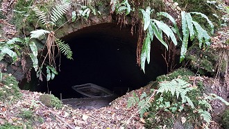 Greywell Tunnel