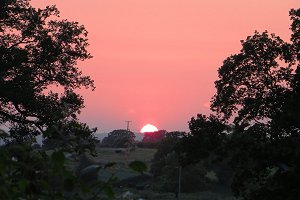 Wargrave Sunset