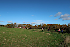 Hallplace Farm