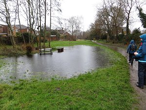 Flooded Picnic Area