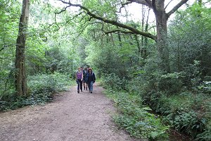 Footpath at Fleet Pond