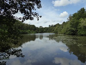 Kiln Pond