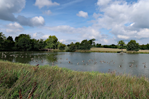 Tundry Pond